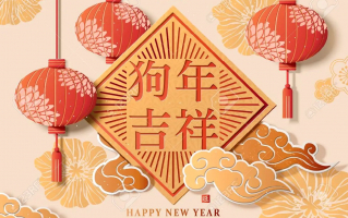 Countries Celebrate Lunar New Year