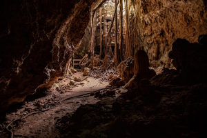 Most Impressive Caves in Puerto Rico