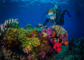 Dive Sites in Tonga