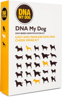 Best Dog DNA Kits