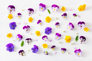 Edible Flowers With Potential Health Benefits