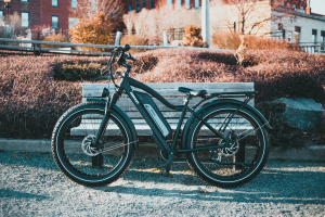 Best Electric Bike Brands in The US
