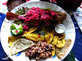 Best Foods To Try in Honduras