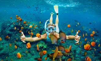 Best Diving Sites in Sint Maarten (Netherlands)