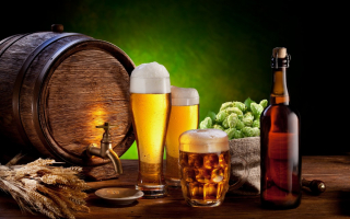 Best German Beer Brands in The US