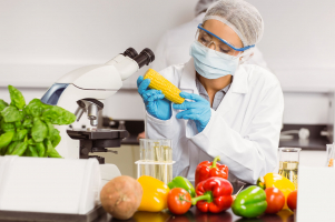 Global Food Safety Testing Companies