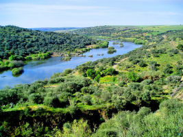 Longest Rivers in Portugal
