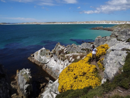 Most Beautiful Islands In Falkland