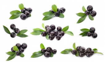 Health Benefits of Acai Berries
