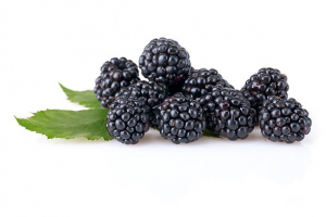 Health Benefits of Blackberries