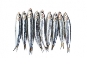 Health Benefits of Eating Anchovies
