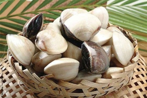 Health Benefits of Eating Clams