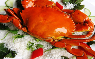 Health Benefits of Eating Crab