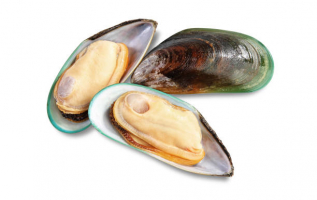 Health Benefits of Eating Mussels