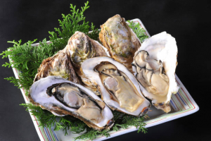 Health Benefits of Eating Oysters