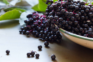 Health Benefits of Elderberries