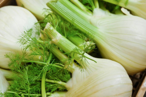 Health Benefits of Fennel