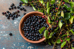 Health Benefits of Maqui Berry