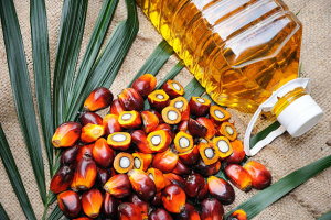Health Benefits of Palm Oil