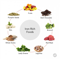 Best Foods High In Iron