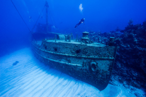 Dive Sites in Bermuda