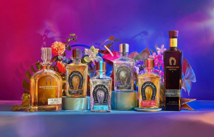 Best Tequila Brands in the Philippines