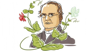 Interesting Facts about Gregor Mendel