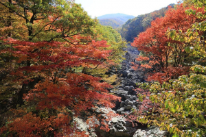 Best Places to Visit in Korea in Autumn