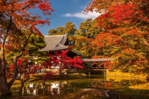 Best Places to Visit in Japan in Autumn