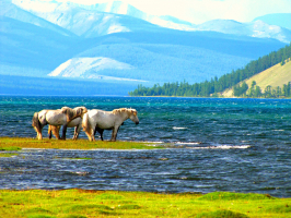Most Beautiful Lakes in Mongolia