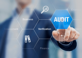 Leading Provider - Audit and Assurance In Europe