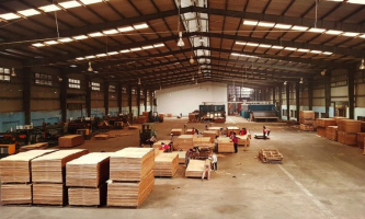 Leading Plywood Manufacturers