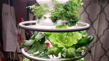 Best Indoor Gardening Kits