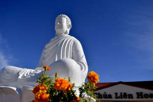 Most Famous Buddhist Temples in Houston