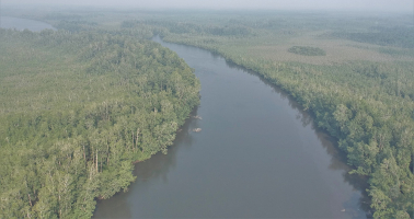 Longest Rivers In Cameroon