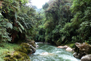 Longest Rivers in Ecuador