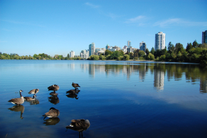 Best Lakes To Visit In Vancouver