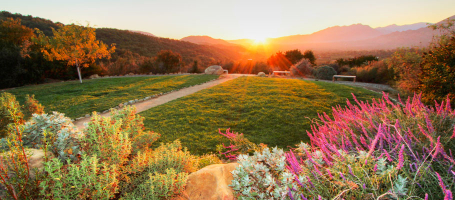 Best Things to Do in Ojai