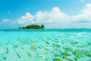 Most Beautiful Dive Sites in Papua New Guinea