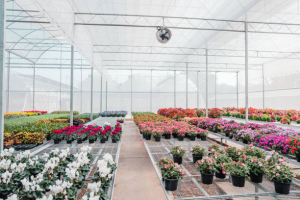 Most Beautiful Greenhouses in Europe