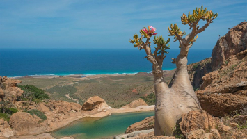 Most Beautiful Islands in Yemen
