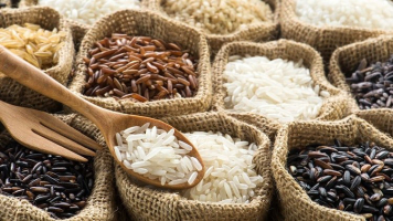 Most Common Types of Rice