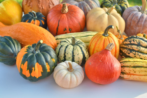 Most Delicious Types of Squash