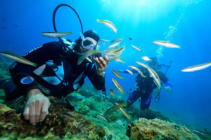 Best Diving Sites in Macedonia