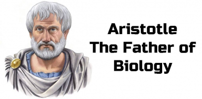 Outstanding Contributions of Aristotle