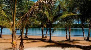 Best Beaches in Suriname