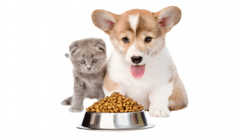 Pet Food Suppliers In The USA