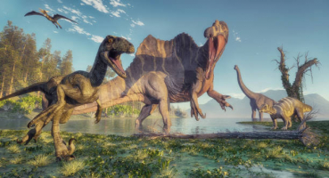 Questions About Dinosaurs Answered