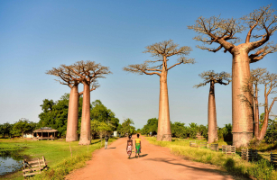 Reasons to Visit Madagascar