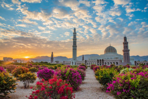 Reasons to Visit Muscat in Oman